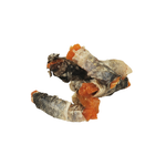 Love Zoete aardappel vis wraps fish4dogs
