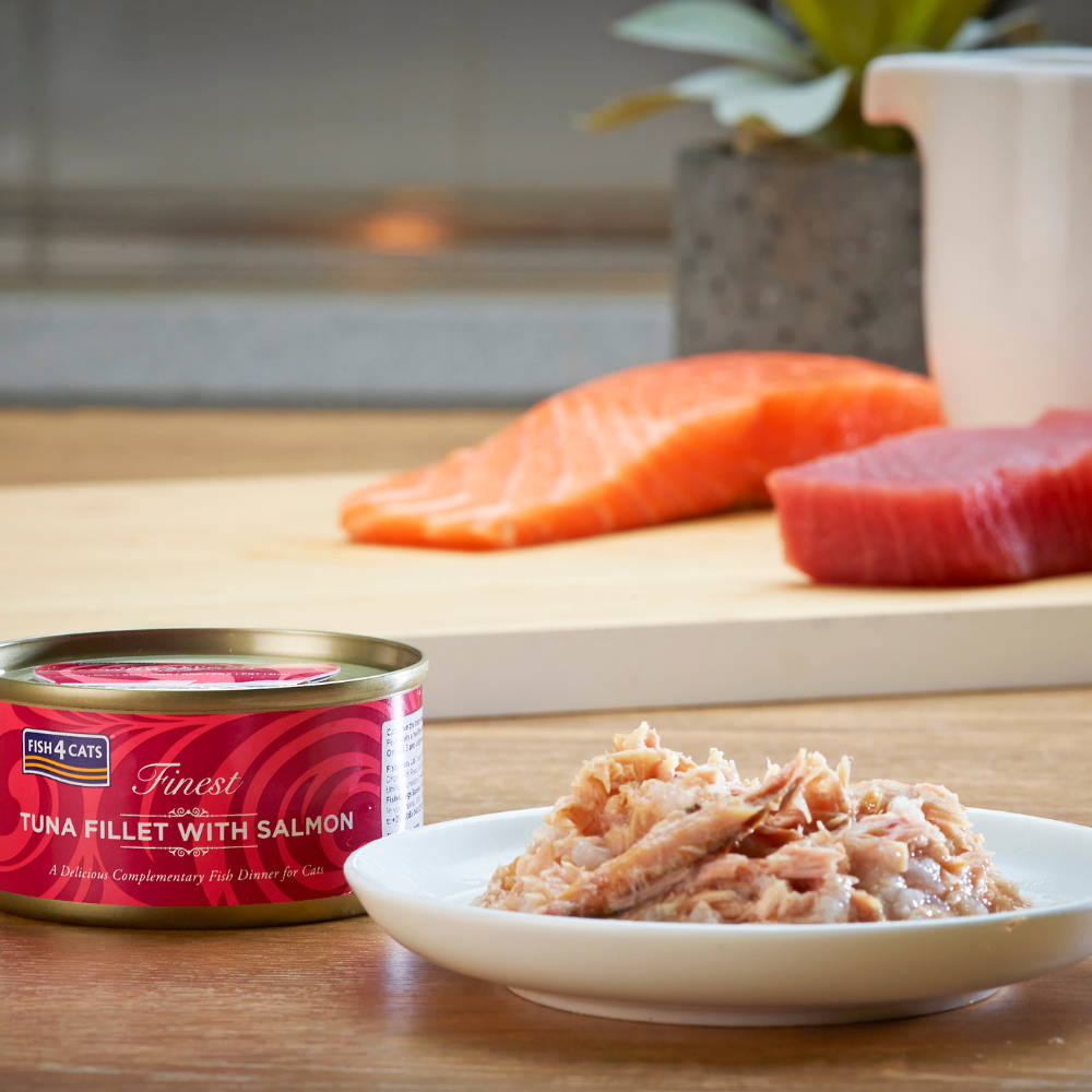 sfeerfoto Fish4Cats Finest Tonijn met Zalm