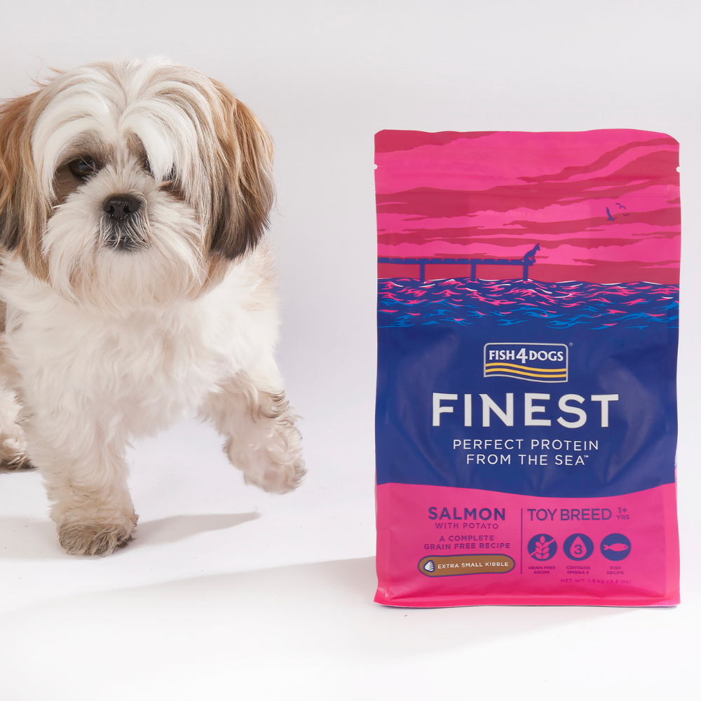 TSC764R Inside Studio Toybreed Dog Shih Tzu Finest Toy 1.5Kg Rebrand (2)
