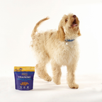 Sfeerfoto Training Super Stars Sardine Fish4Dogs