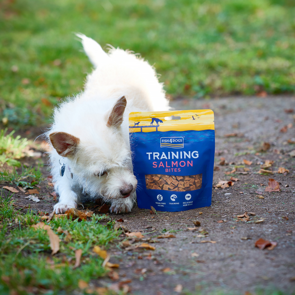 Sfeerfoto Training zalmbites Fish4Dogs