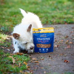 Sfeerfoto Training zalmbites Fish4Dogs