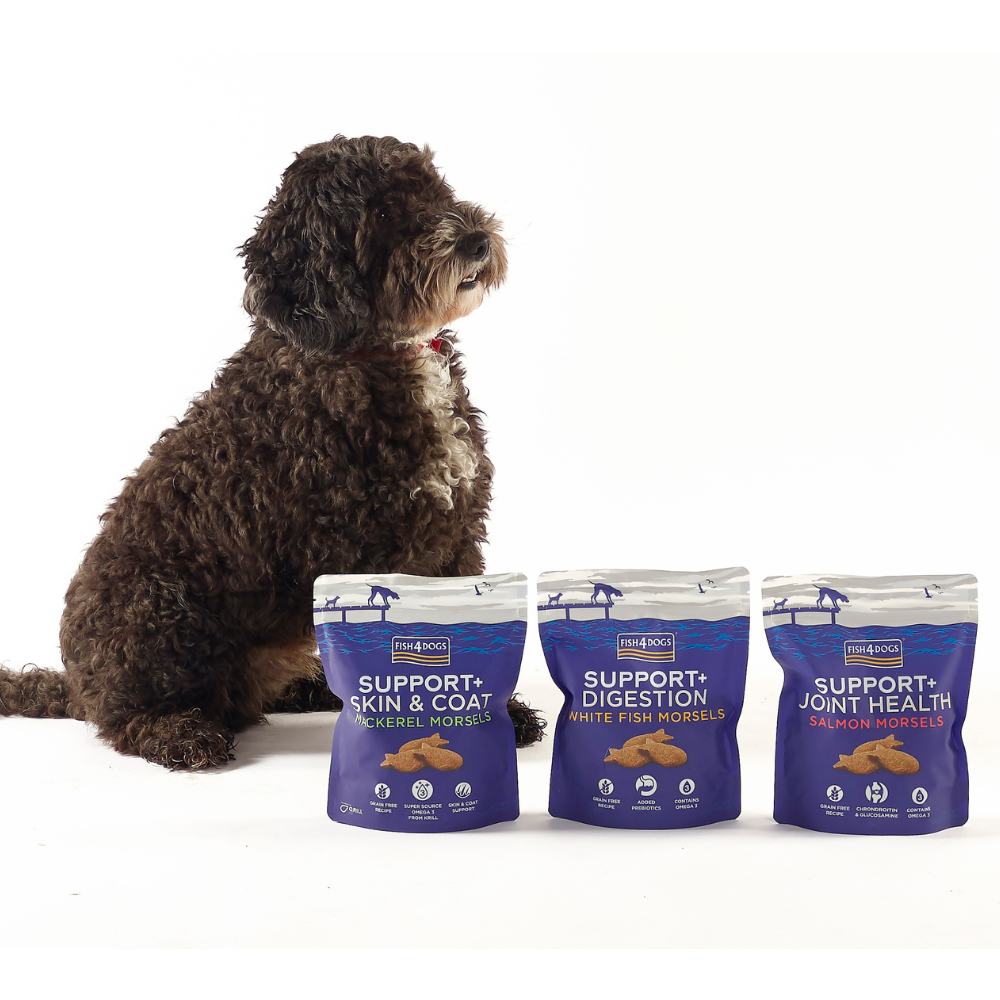 Sfeerfoto Support+ Digestion Witvis Morsels Fish4Dogs