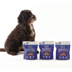 Sfeerfoto Support+ Digestion Witvis Morsels Fish4Dogs