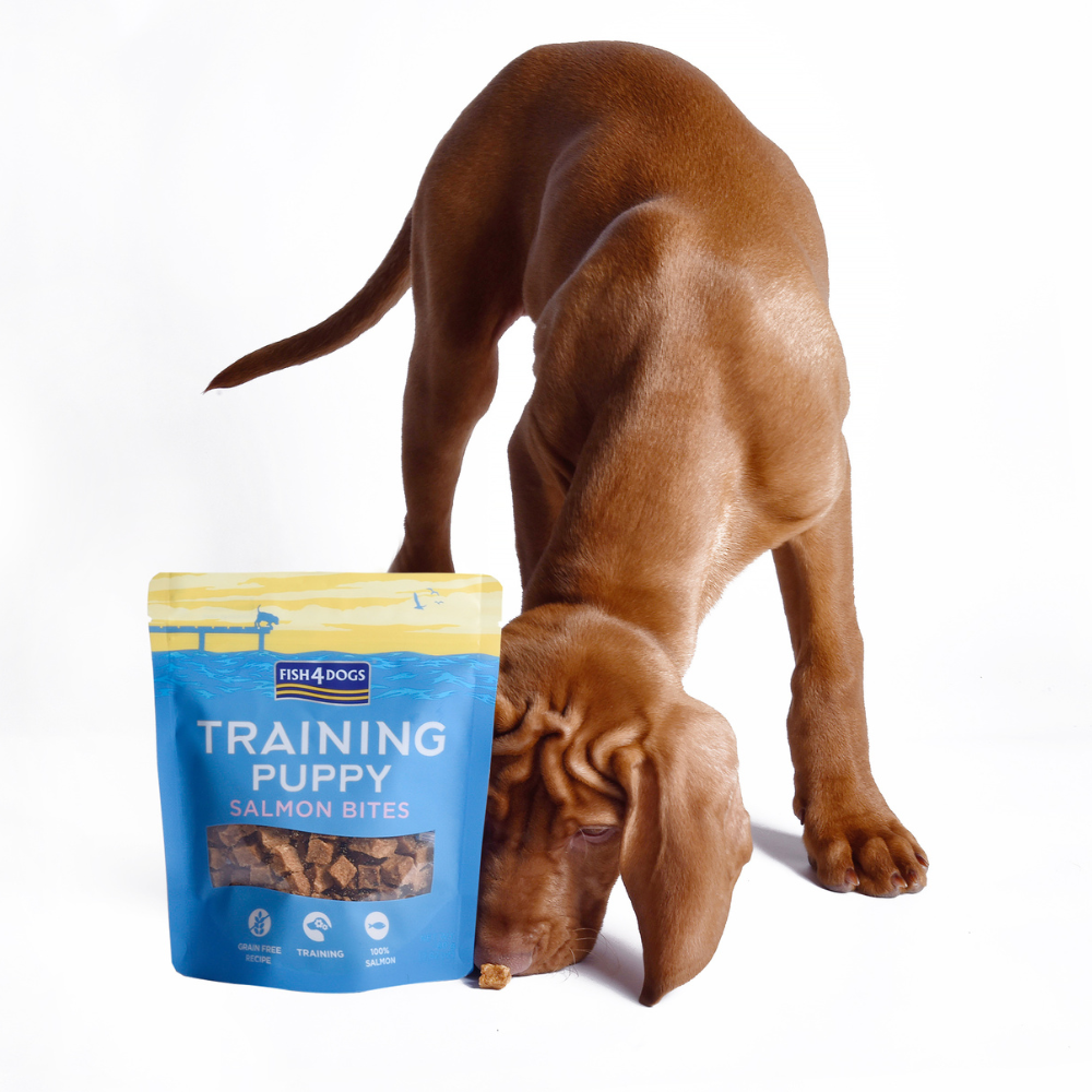 Sfeerfoto Training zalmbites puppy Fish4Dogs