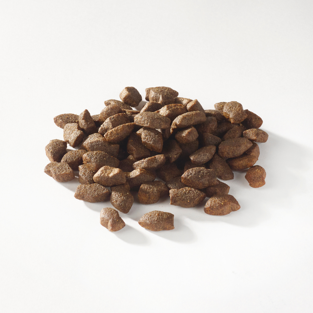 Support+ zalm mini morsels puppy Fish4Dogs
