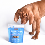 Sfeerfoto Support+ zalm mini morsels puppy Fish4Dogs